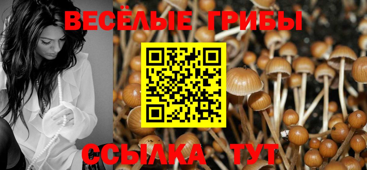 Галлюциногенные грибы Cubensis Феодосия