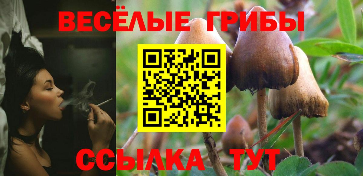 Феодосия  Галлюциногенные грибы Cubensis  Вход с VPN 